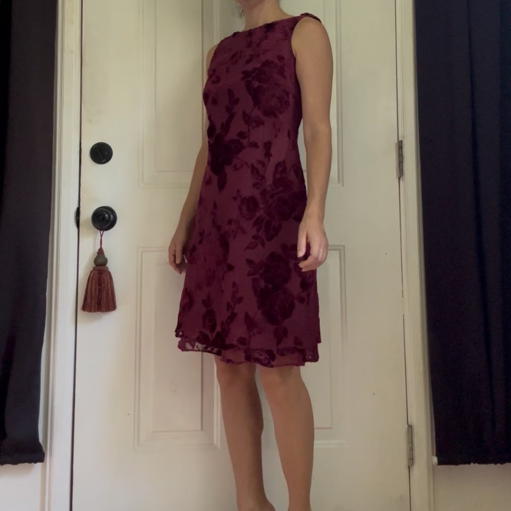 Vintage 90s Whimsigoth Burnout Velvet Dress - Picture 14 of 15